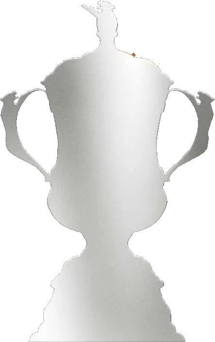 Women's FA Cup - 1 Time (2014)